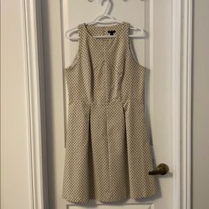 Ann Taylor polka dot dress